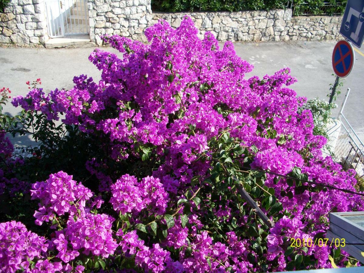 Apartmani Surlin Hvar Town Exterior photo